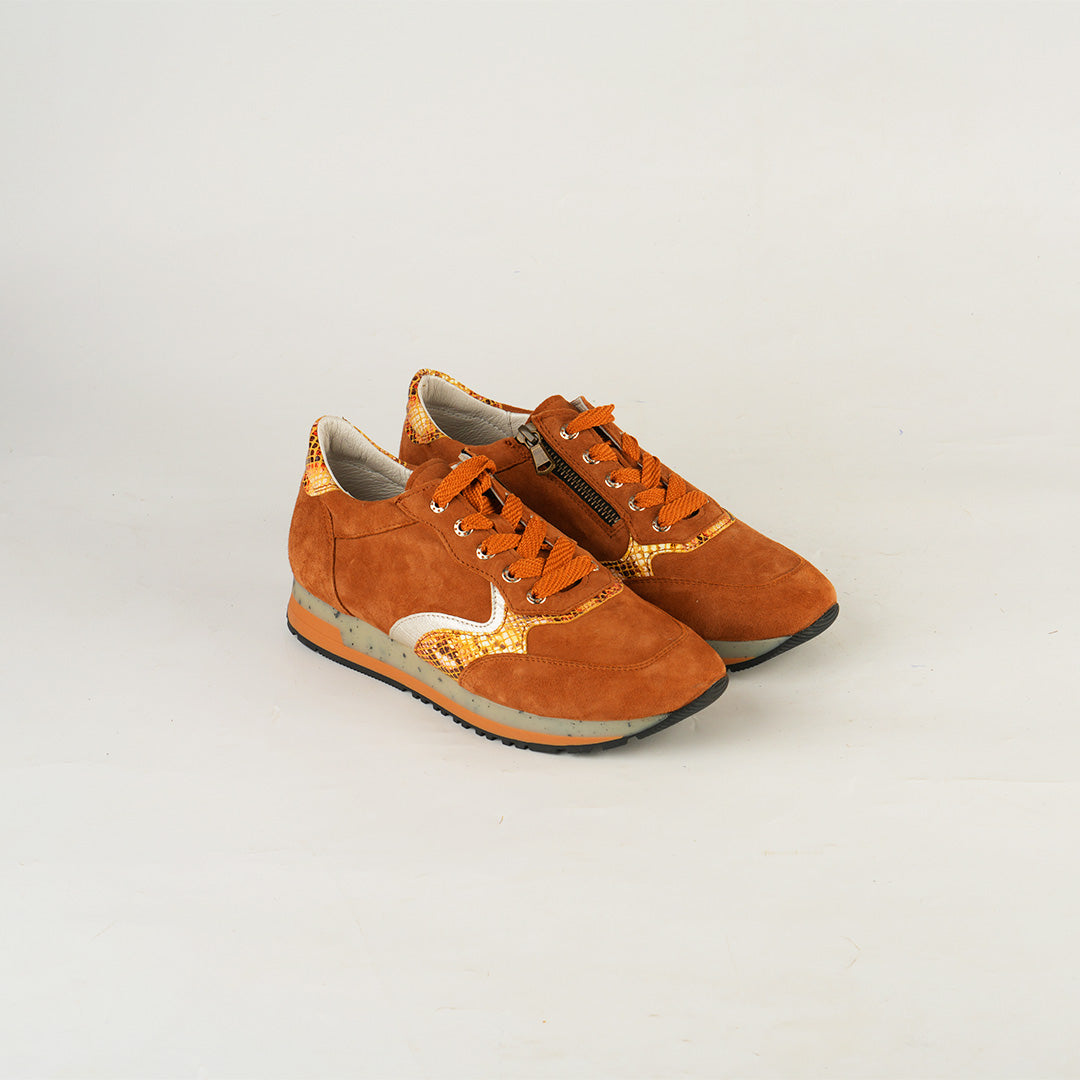 Sneaker Safari Doré