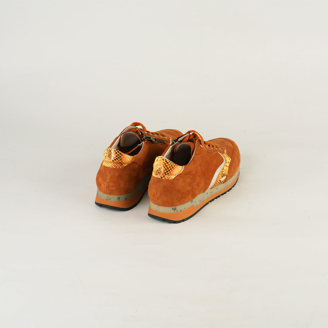 Sneaker Safari Doré